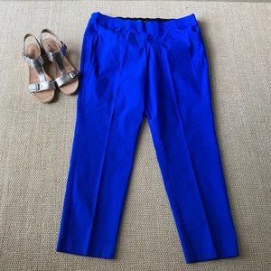 Counterparts Royal Blue Stretch Ankle Pant  18